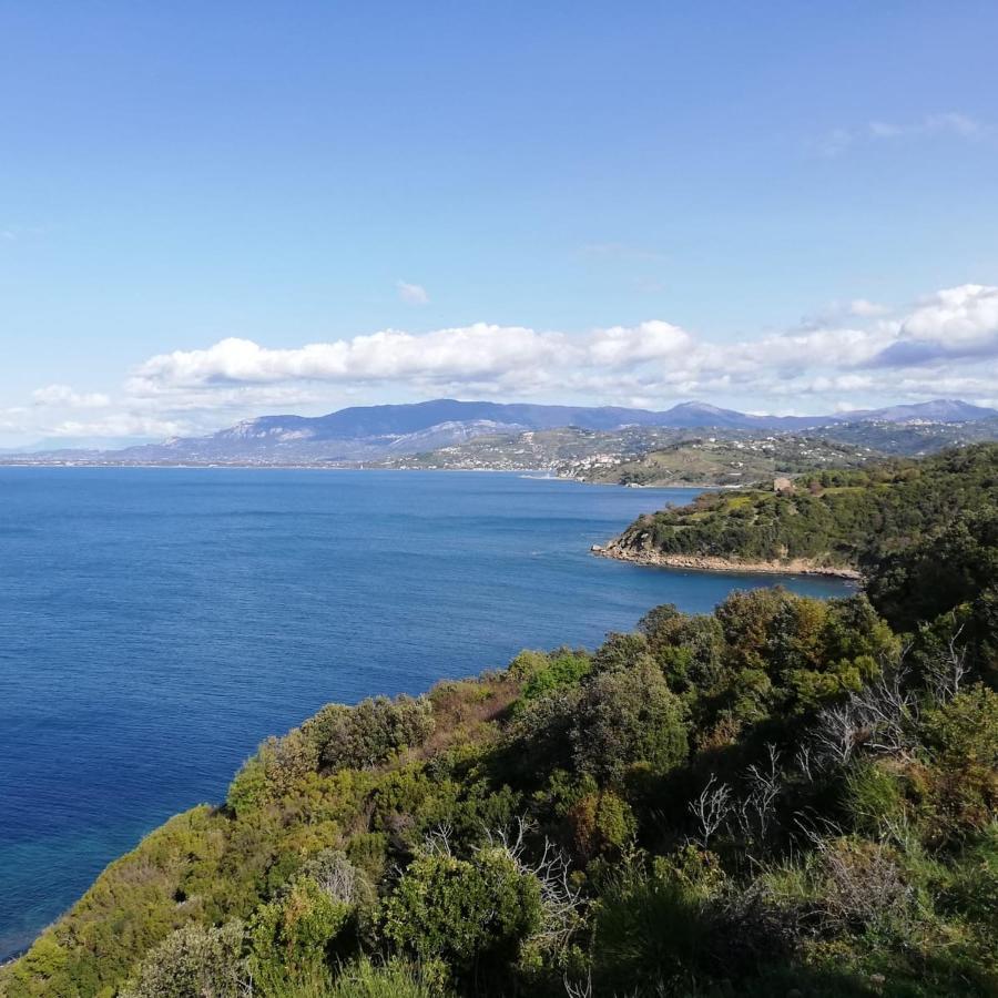 Panoramic Apartments In Villa In Center "The Beach And The Cliff" 1 Agropoli Ngoại thất bức ảnh